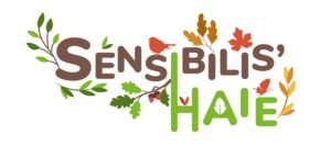 Lire la suite à propos de l’article Aire de jeux