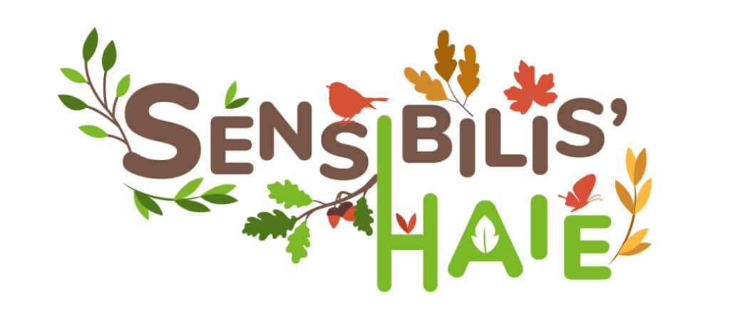 You are currently viewing Aire de jeux