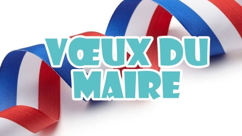 Retour sur les vœux du Maire