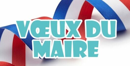 Lire la suite à propos de l’article Retour sur les vœux du Maire